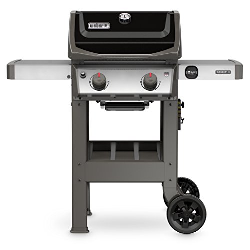 2-burner liquid propane gas grill