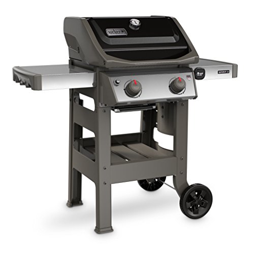 2-burner liquid propane gas grill