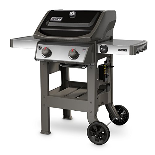 2-burner liquid propane gas grill