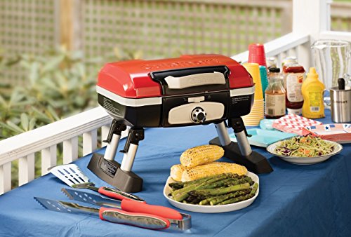 portable tabletop gas grill