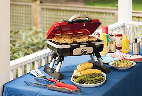 portable tabletop gas grill