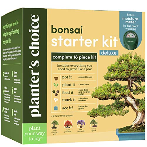 best bonsai tree growing kit