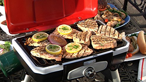 portable tabletop gas grill